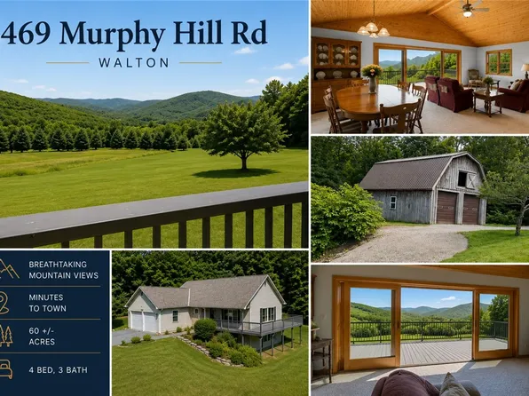 469 Murphy Hill Rd, Walton, NY 13856