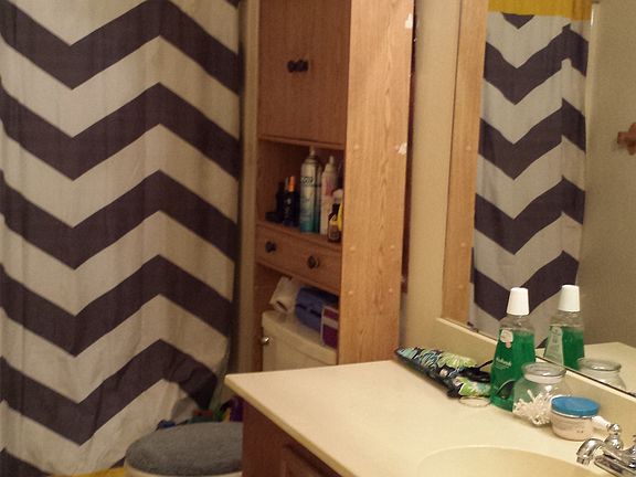 Hall bathroom