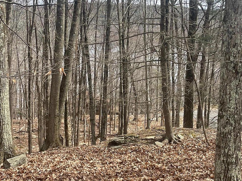 2nd image of 48 Mustang Rd