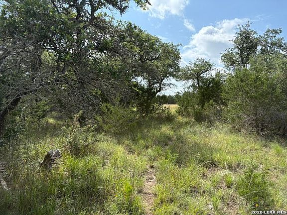 5th image of 351 RIDGE PT LOT 2154