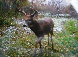 90 Saint, Swanville, MN 56382