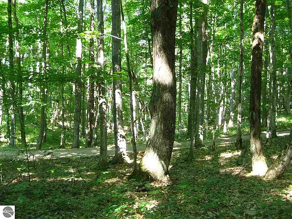 3rd image of 0 W Cheney Woods Trl