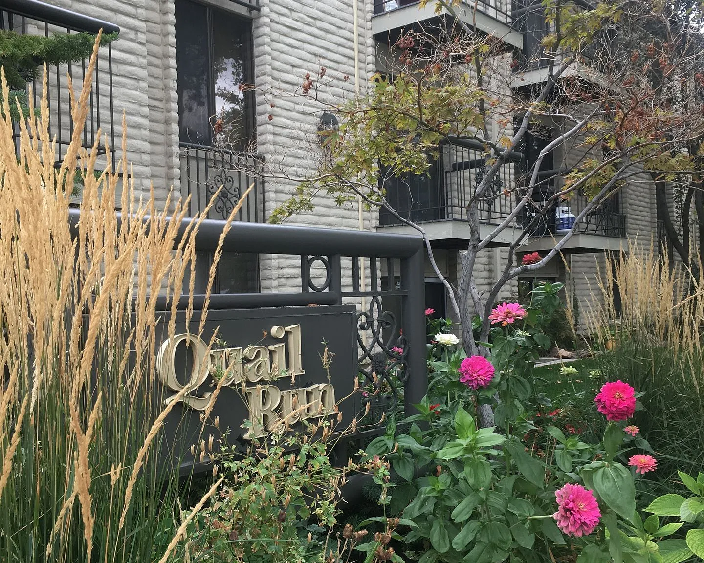 Quail Run — Photo 2