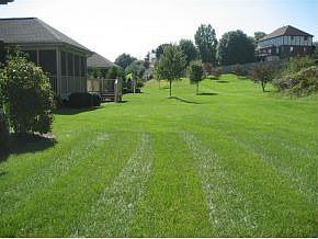 4th image of 1033 Waterbrooke Ln