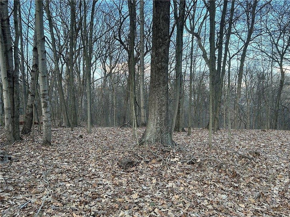 1st image of Loretta Ln
