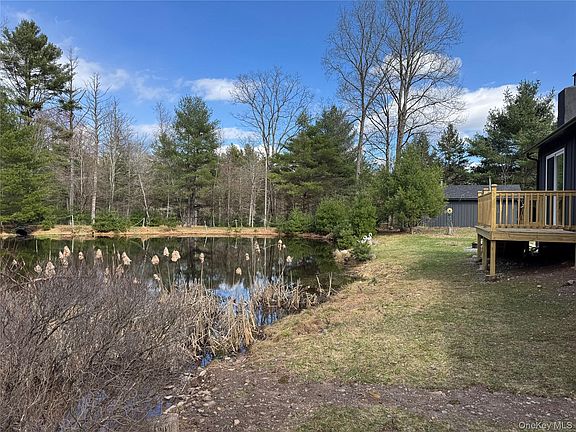 5th image of 273 Blind Pond Road