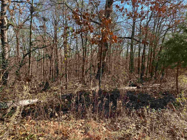 13242 Highway 163, Harrisburg, AR 72432