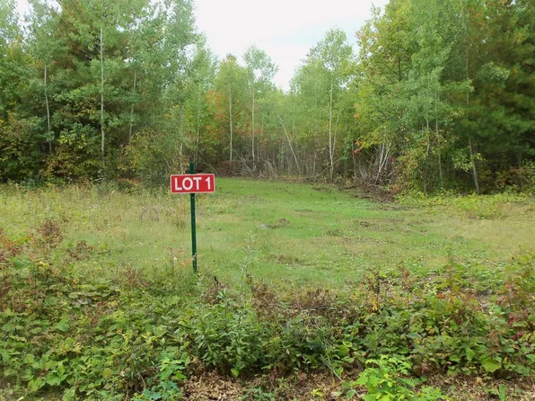 LOT 1 Beaver Dam Rd, Hertel, WI 54845