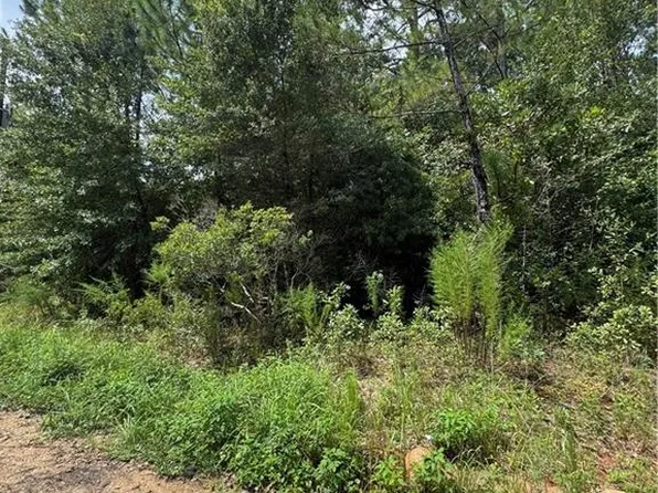 9980 Taylor Ave S, Irvington, AL 36544