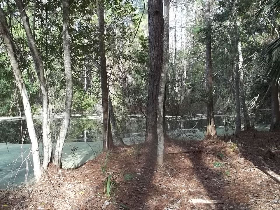1st image of 1510 N Rock Cress Path