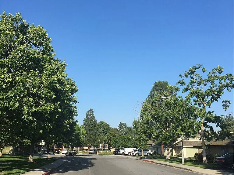 610 Black Walnut Way — Photo 14