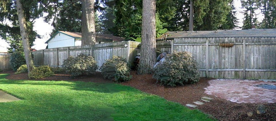 Park like back yard