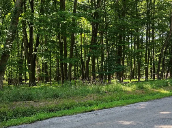 0 Scott Rd, Jamestown, PA 16134