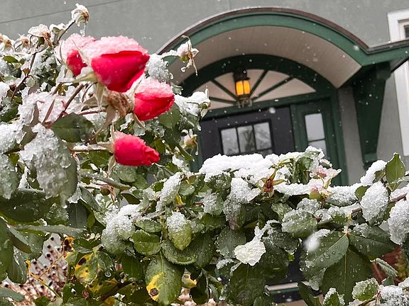 First snow this year