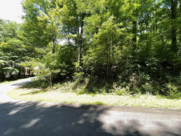 LOT 4 Fodder Creek Mill Dr, Hiawassee, GA 30546