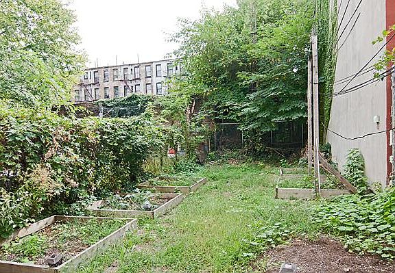 5th image of 584 Sterling Pl APT 1