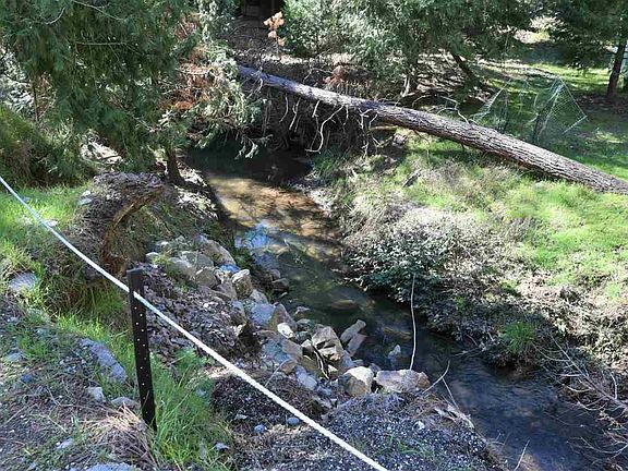 5th image of 22112 Crystal Falls Dr