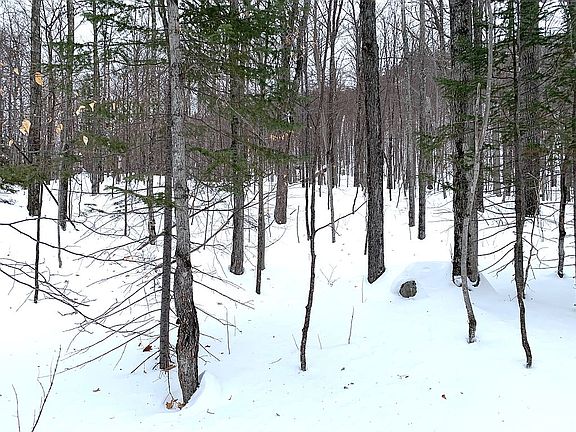 3rd image of Owls Head Ln
