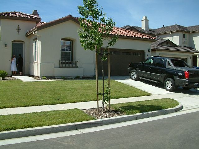 1st image of 1326 Snake Creek Dr