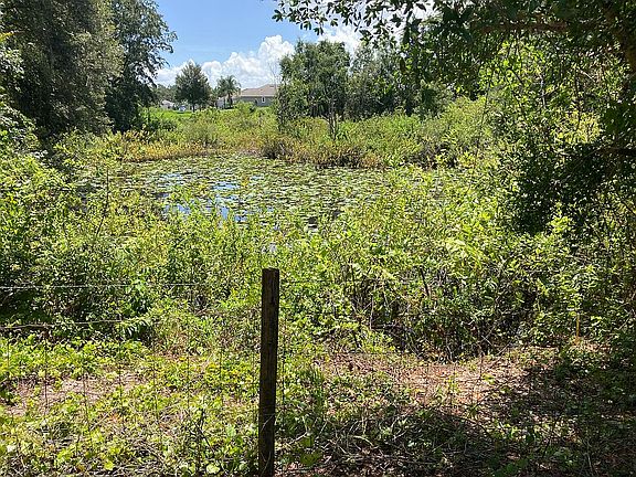 Pond Near East Property Line