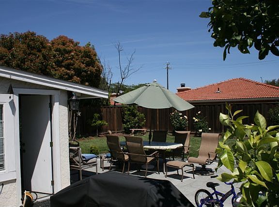 Big Backyard