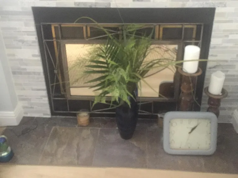 Wood burning fireplace