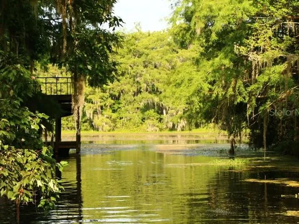 4885 County Road 306a, Lake Panasoffkee, FL 33538