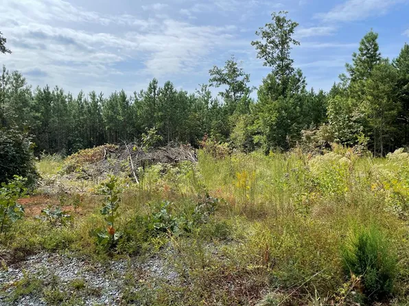 0 Rockford School Rd, Gretna, VA 24557