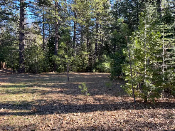 Emigrant Trl, Shingletown, CA 96088