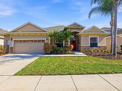 3235 Grassglen Pl, Wesley Chapel, FL, 33544