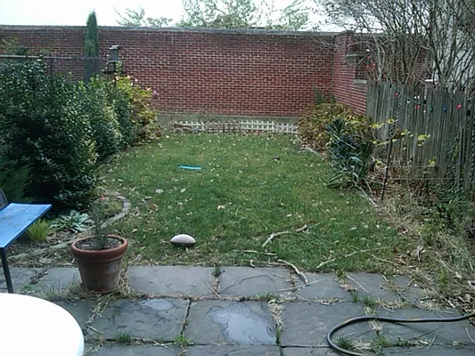 Rented by Alta Real Estate | media 30