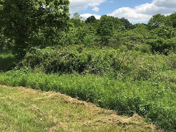 2nd image of 294 Brush Creek Rd