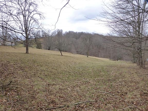 Meadow for horses and small livestock