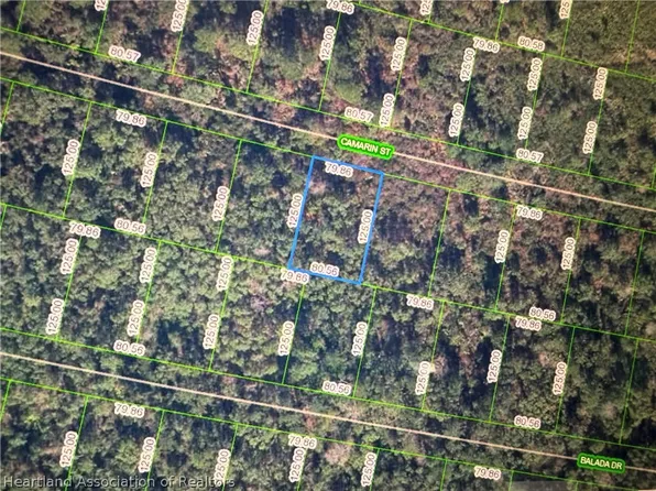 8603 Camarin St, Sebring, FL 33872