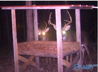 Upper Hurricane Rd, New Market, AL 35761