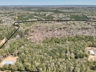 2326 Campbell Hill Rd, Chancellor, AL, 36316