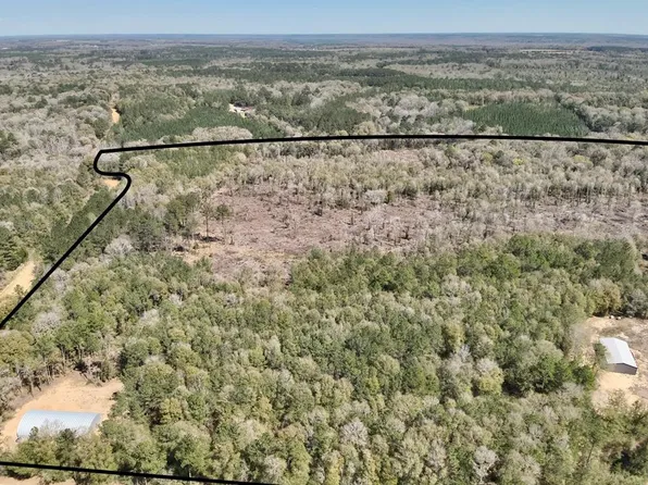 2326 Campbell Hill Rd, Chancellor, AL 36316