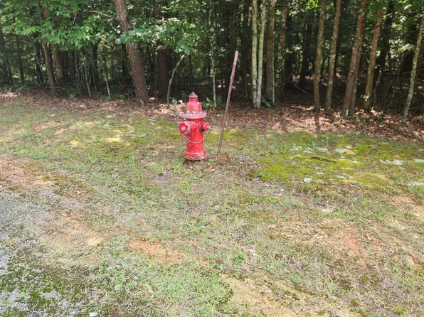 LOT 51012C16 Ivylog Dr, Blairsville, GA 30512