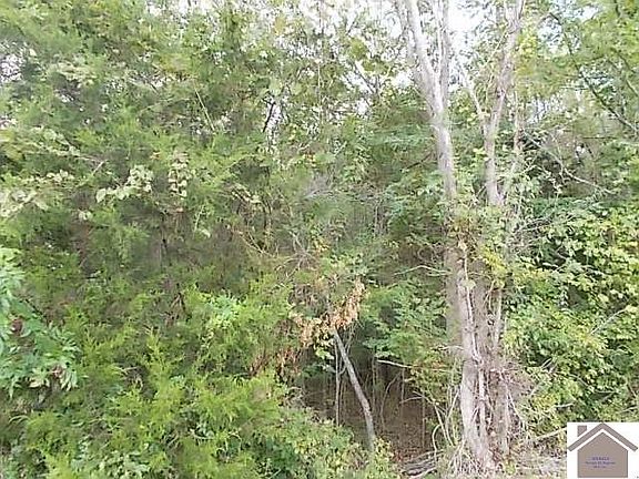 2nd image of 4701 Jewell Ln