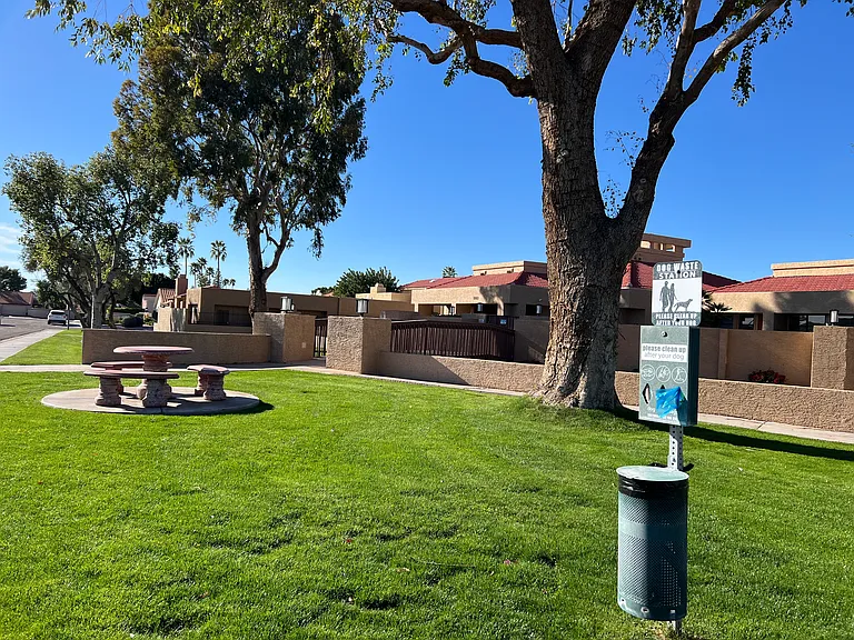 11079 E Yucca St — Photo 23