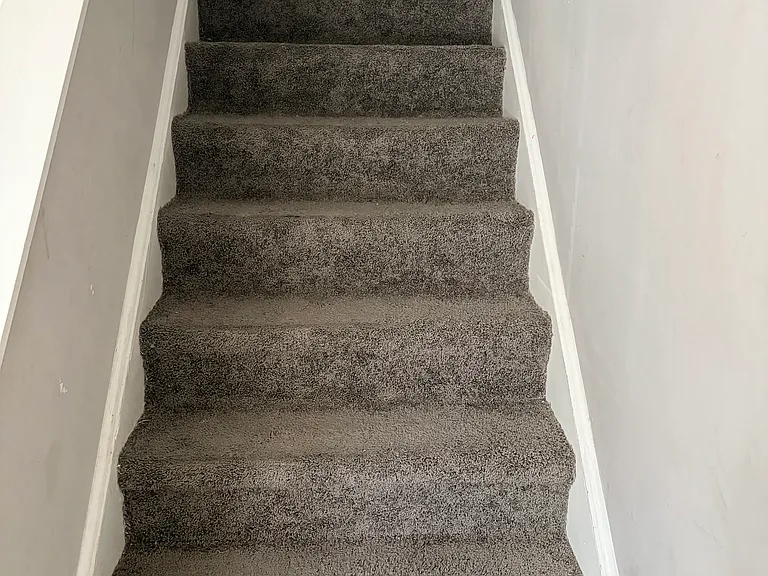 1025 Carolina Rd #V2 — Photo 10