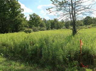 LOT 4 German Rd LOT 4, Willet, NY 13863