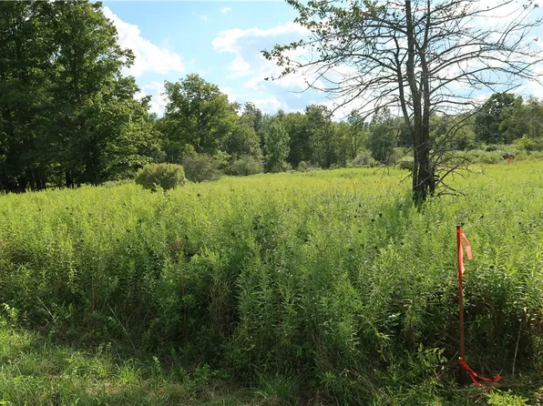LOT 4 German Rd Lot 4, Willet, NY 13863