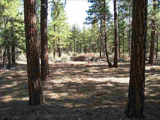 1st image of 0 Dockery Ln