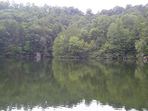 2nd image of 0 Wood View Dr Lot 22