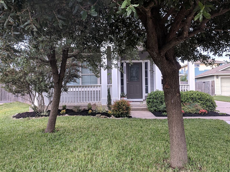 Front Yard Trees