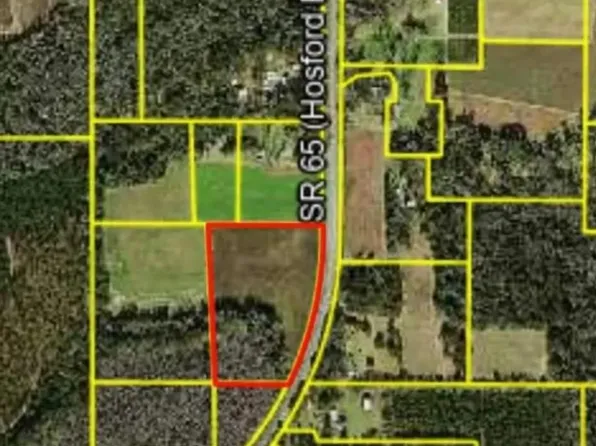 Xxx Hosford Hwy, Quincy, FL 32351