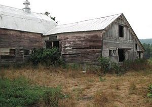 5th image of 29 Hillis Ln