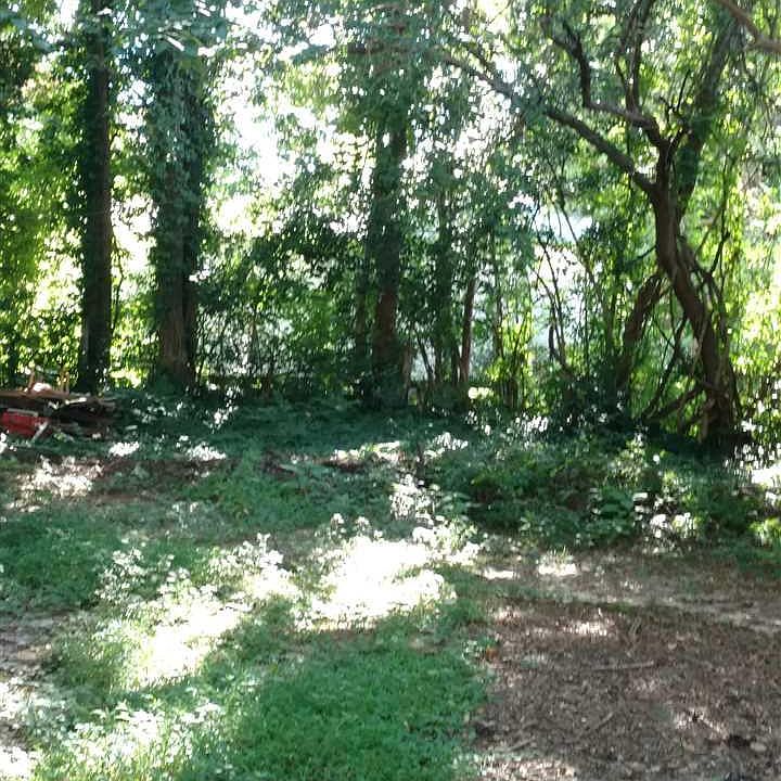 2nd image of 1635 Bickett Blvd