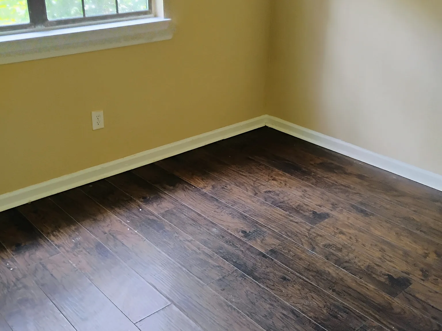 4 bed, 2.0 bath, 1686 sqft, $1,800 — Photo 2